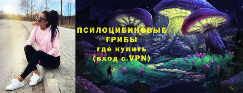 Где купить Добрянка APVP  Меф мяу мяу  Псилоцибиновые грибы  МАРИХУАНА  Кокаин  Гашиш 